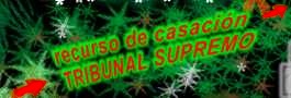 recurso de casacion / TRIBUNAL SUPREMO