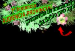 primera instancia / AUDIENCIA PROVINCIAL
