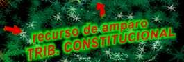 recurso de amparo / TRIBUNAL CONSTITUCIONAL